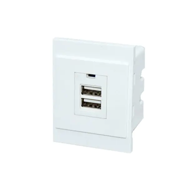TypeA+A Usb Charger Socket Module 2.1A Without LED Light