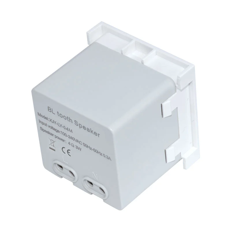 Bluetooth Speaker The left and Right Channels Function Module